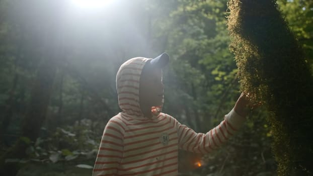 Portrait of a young boy in green forest touching mossy tree. Creative. Boy exploring nature