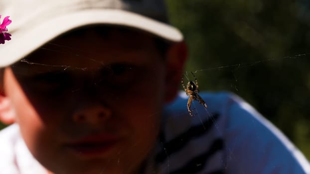 A little boy looks at a spider on a sunny day . Creative. A child in a cap looks at an insect that sits on a spider's web and opens its mouth