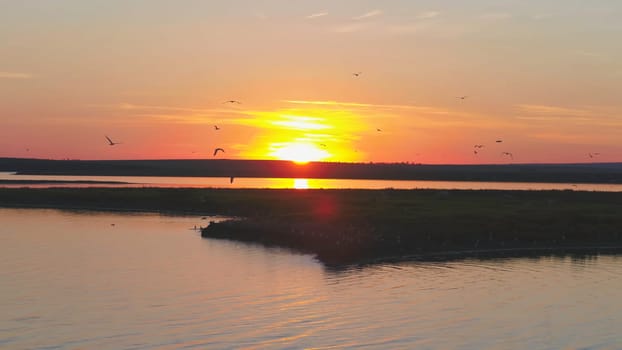 A flock of birds on the background of colorful sky. Sunset on the river. Island of gulls. Birds fly at sunset, aerial.