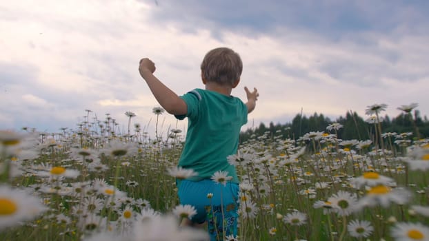 A boy running through a field with daisies. Creative. A small child with long brown hair runs through a field with white small flowers in front of tall trees in front of a blue cloudy sky. High quality 4k footage