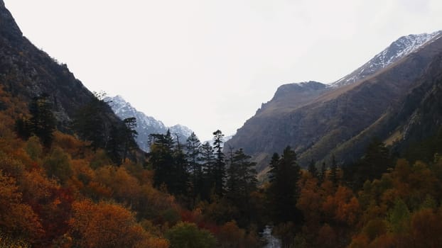 Beautiful mountain valley with forest in autumn. Creative. Beautiful mountain landscape with forest and snowy mountains in autumn. Colorful forest with river in mountain valley on cloudy autumn day.