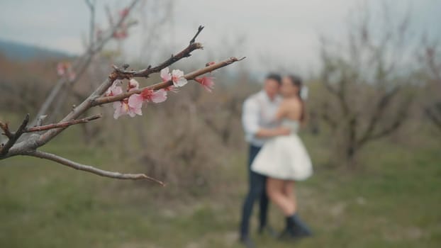 Beautiful couple embraces in spring garden. Action. Couple of newlyweds enjoy first leaves and flowers in garden in spring. Couple embraces in blooming garden in early spring.