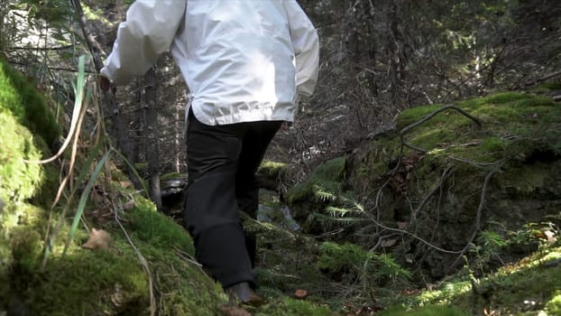 Close up for a man walking through woods and big stones covered with moss. Rear view of a male in black boots trying to get through boulders in the forest.