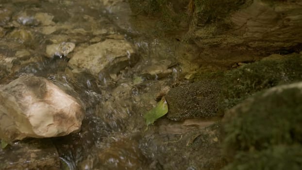 Wild mountain river running through stones in slow motion. Creative. Rapid clean flow in national park