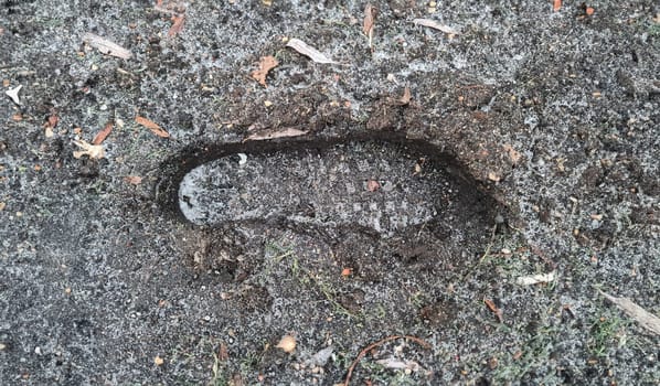 Footprint of men boots in mud winter closeup top view background. Crime traces concept