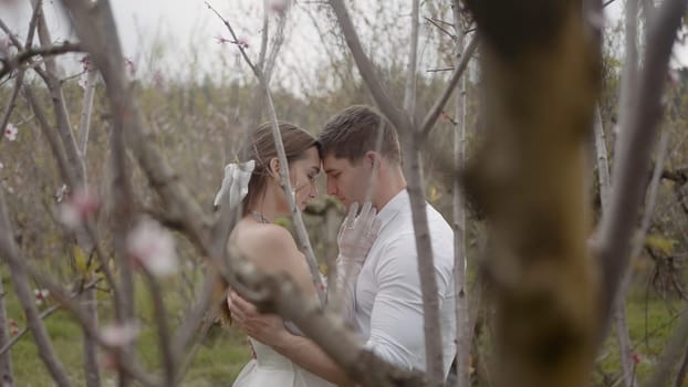 Photo shoot on the background of an orchid.Action. The bride and groom in a short white dress and a veil who kiss and stroke each other next to a tree with pink flowers archidea.