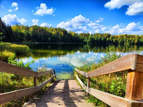 Beautiful colorful summer spring natural landscape with lake in Park surrounded by green foliage of trees in sunlight. Water through the branches of trees