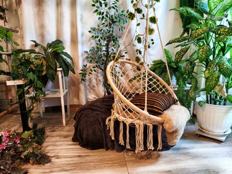 Modern cozy beautiful room with a braided rope macrame chair, green plants and a window with curtains. Interior and background. Location for photo shooting