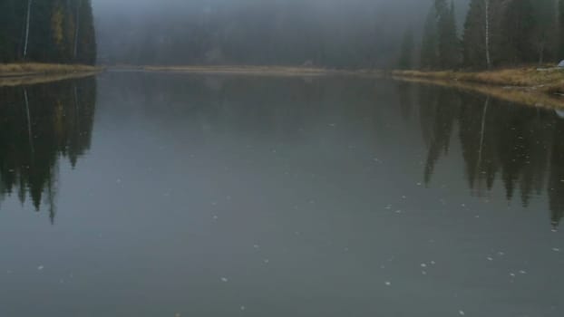 Dark landscape. Clip.Thick fog over a cold lake and forest and bare slightly green trees. High quality 4k footage