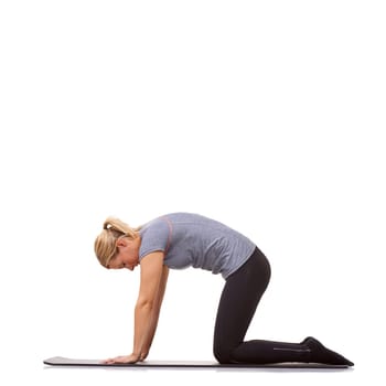 Woman, yoga or cat pose for fitness, workout or stretching body in studio on mockup white background. Profile, healthy lady or bend back for strong core, spine extension or flexible exercise on floor.