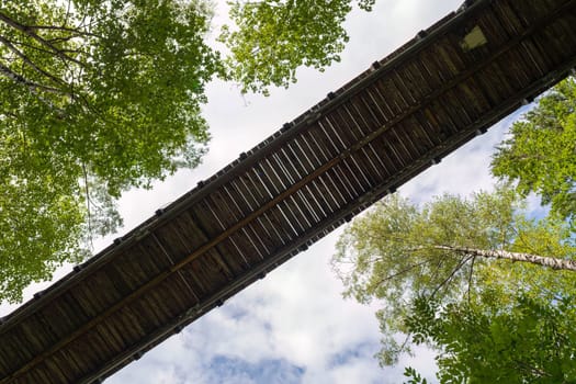 A wooden treetop path from below