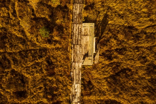 An aerial view of an autumn bog in Yelnya, Belarus, autumn. Ecosystems ecological problems climate change.