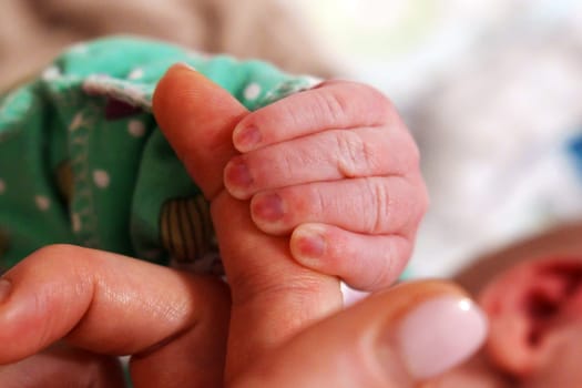 Small baby hands of a newborn baby. Babyhood and childhood concept