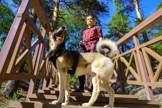 Woman standing on a wooden staircase with a dog. Walking with pets