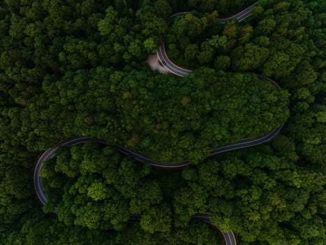 Serene Aerial View of Winding Road Through Lush Forest