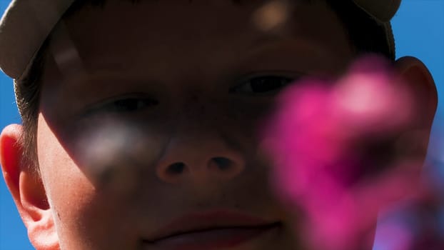 Child looks at spider. Creative. Close-up of boy looking at meadow spider. Wild spider on web in meadow on background of watching boy.
