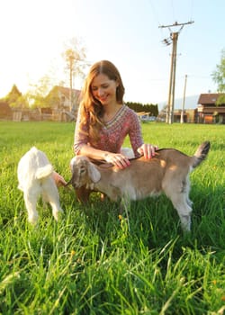 Young woman petting two baby goat kids on green meadow, blurred houses in background. Wide angle photo with strong sun backlight