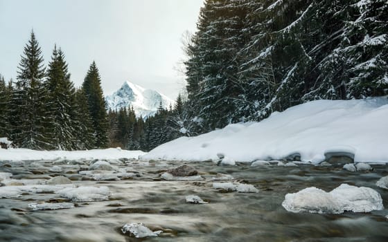 Forest river in winter, stones covered with ice, trees on both sides, mount Krivan (Slovak symbol) in distance. Long exposure photo water silky smooth