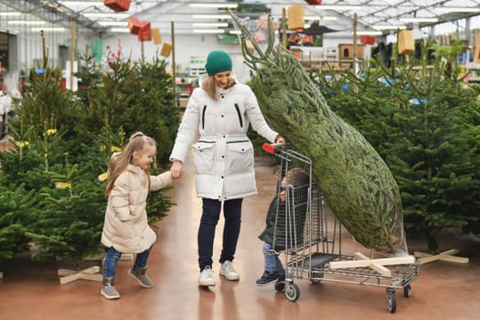 Mother and children choose a Christmas tree in the market.