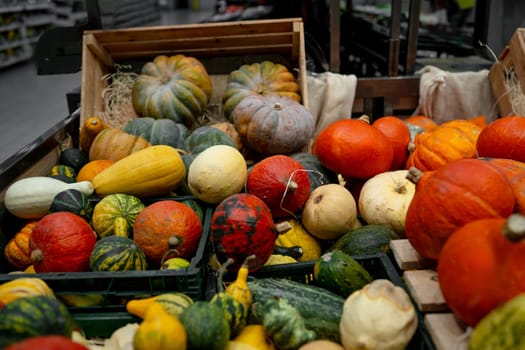 Supermarket Shelves Are Filled With Colorful Pumpkins
