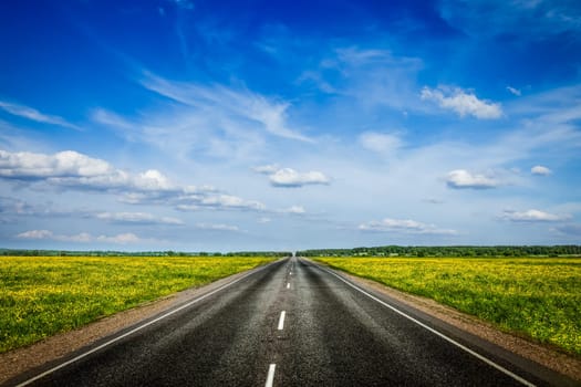 Travel concept background - an empty road with a blue sky and blooming green spring fields on either side