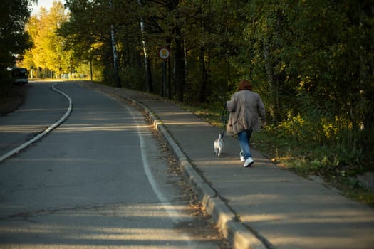 Girl from back. Woman alone in park in summer. Returning home through empty park in afternoon. Man walks in countryside.