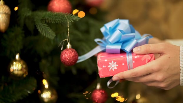 Close up for female hand holding Christmas present in red wrapping paper with big, blue ribbon. Woman hand with beautiful New Year gift on green, decorated with toys Christmas Tree background