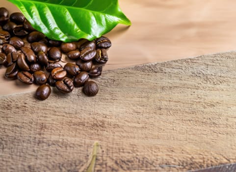 coffee seed and coffee leaf frame with floor copy space background