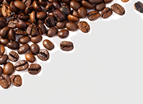 coffee seed frame with white copy space background