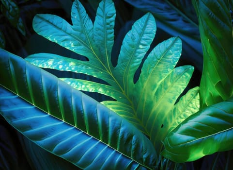 Tropical Leaves Illuminated with Blue and Green