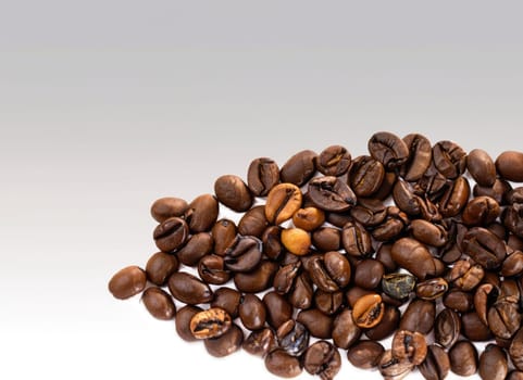 coffee seed frame with white copy space background