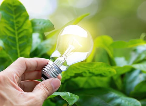 hand holding light bulb against nature on green leaf