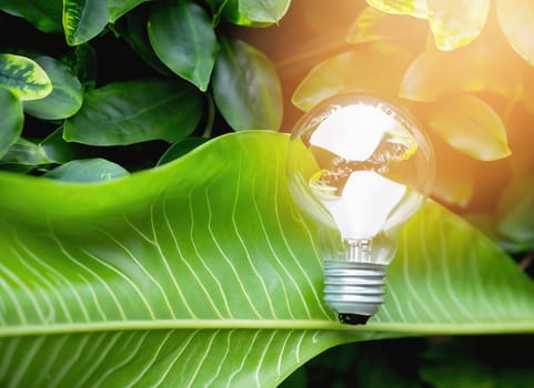 light bulb against nature on green leaf, Sustainable developmen and responsible environment