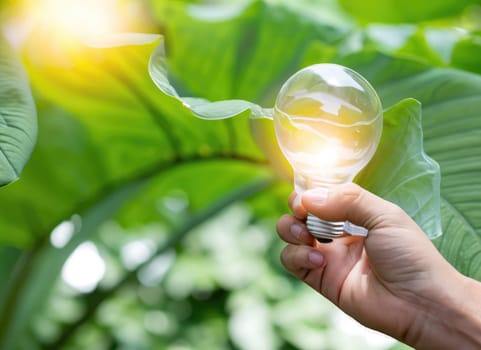 hand holding light bulb against nature on green leaf