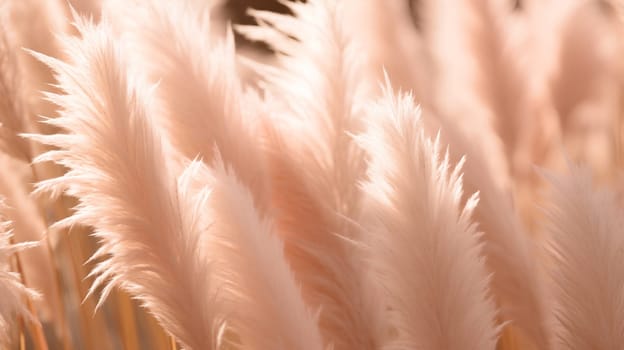 Pampas grass color peach fuzz monochrome background.Trend color of 2024. High quality photo