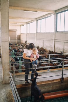 Mom hugs a little girl sitting on the fence of the paddock and looks at the goat. High quality photo