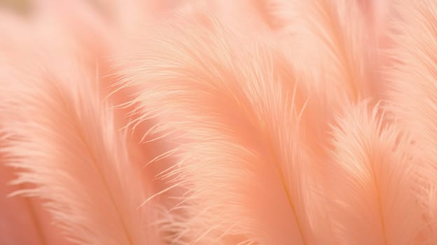 Pampas grass color peach fuzz monochrome background.Trend color of 2024. High quality photo