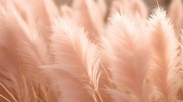 Pampas grass color peach fuzz monochrome background.Trend color of 2024. High quality photo