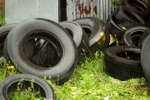 Dump of tires from car. Wet tires on green grass. Used wheels. Rubber wheels for car.