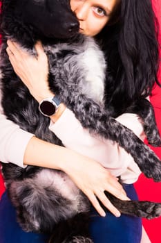 Happy brunette lady in a casual wear hugging mudi pet dog, studio background.