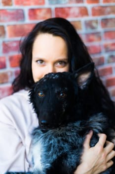 Happy brunette lady in a casual wear hugging mudi pet dog, studio background.