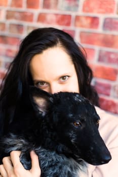 Happy lady in a casual wear hugging purebred pet dog, mudi with owner over studio background.