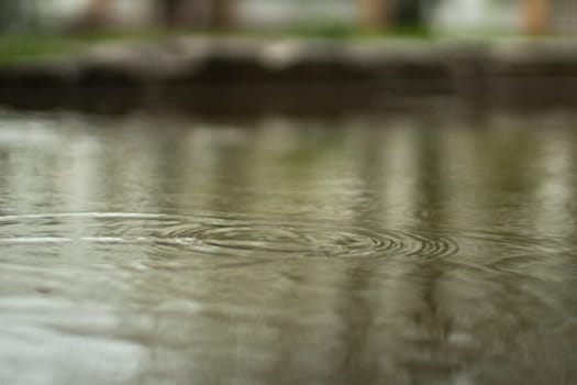 Rain outside. Large puddle in yard. Wet weather. Surface of puddle. Water on road.