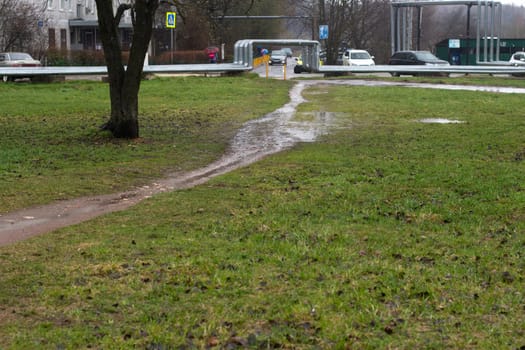 Road in park. Rain outside. Path through green zone. Wet weather.