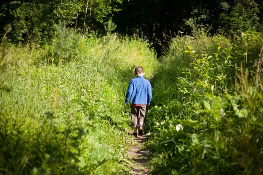 Child goes into forest. Boy walks along path. Lost child is looking for way in thickets. Little boy alone.