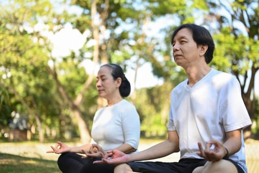 Peaceful senior lady and man practice yoga and breathing exercises with closed eyes in the park outdoor.