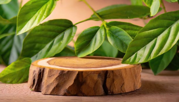 wood podium with green leaves for organic health products placement display mokcup template. 