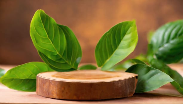 wood podium with green leaves for organic health products placement display mokcup template. 