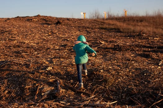 Child runs through forest clearing. Little girl in empty space. Deforestation in Russia. Environmental disaster. Girl and nature.