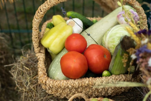 Harvest in autumn. Healthy food. Fresh food from garden.